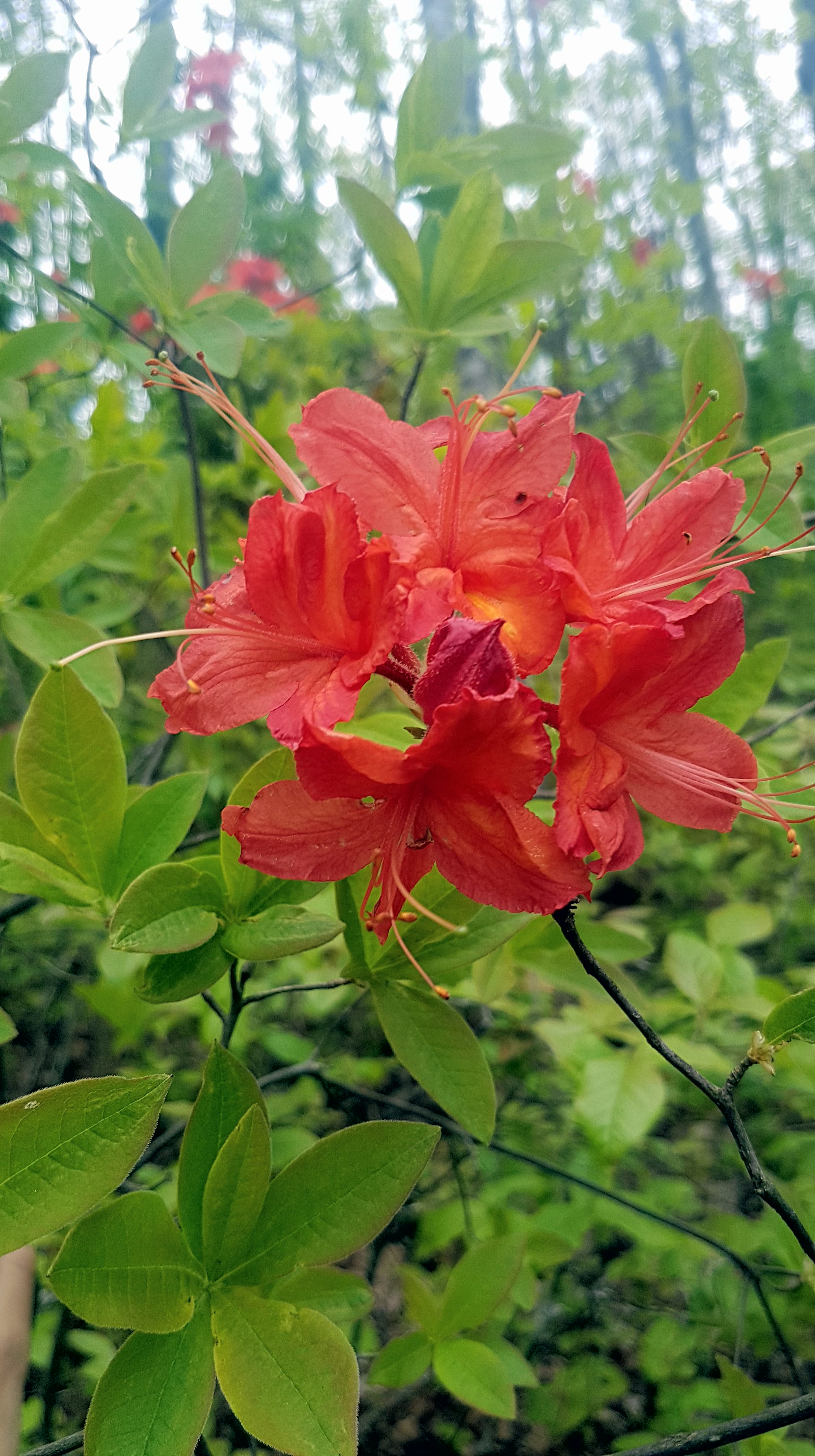Day 24 (Mile 247.2 – 270.3):