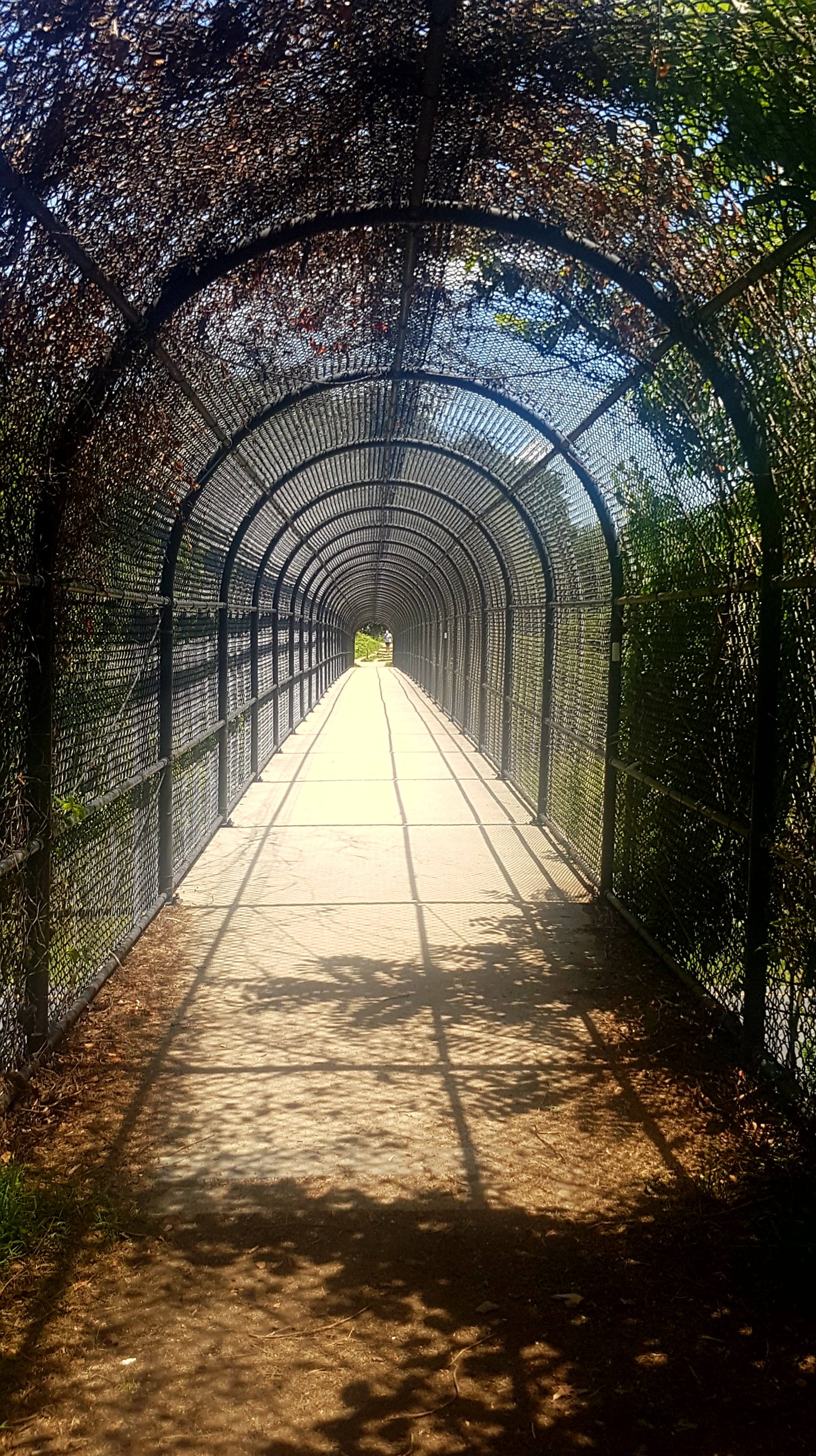 Day 79 (Mile 1040.9 – 1046.2):