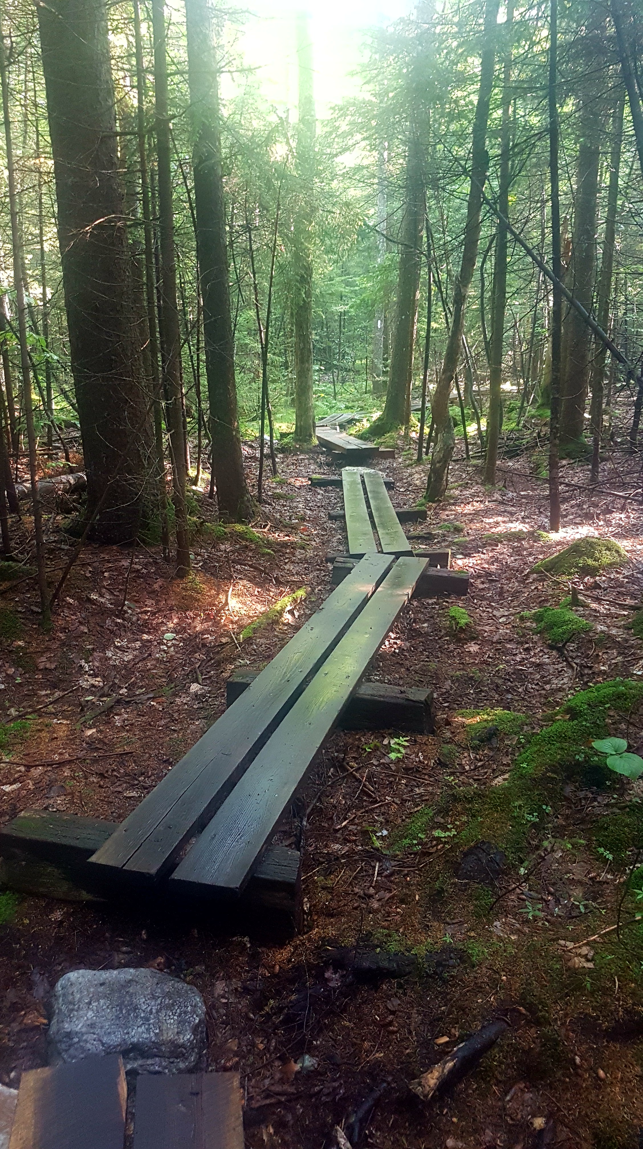 Day 117 (Mile 1599.1 – 1621):